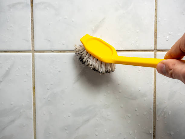 Best Mold Cleaning Services  in Duchesne, UT