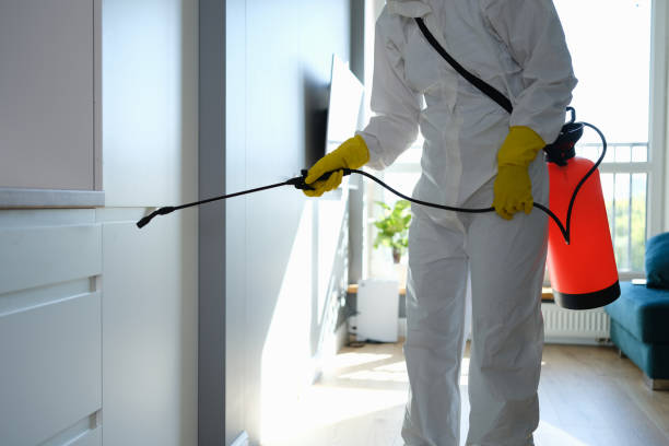 Best Professional Mold Removal  in Duchesne, UT